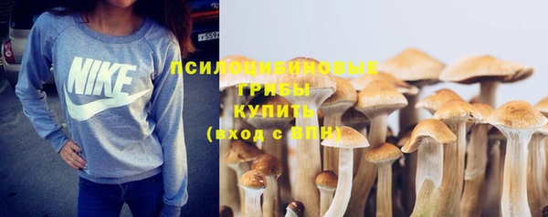 прущий лед Алексеевка