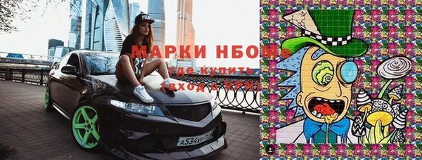 винт Алзамай