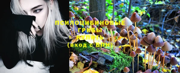 винт Алзамай