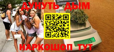 дмт Бердск