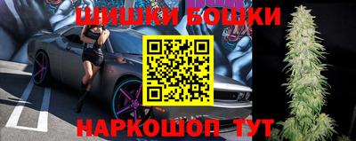 дмт Бердск
