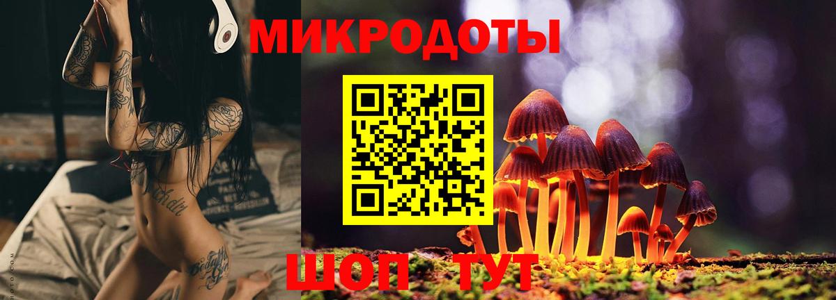 Галлюциногенные грибы ЛСД Амурск