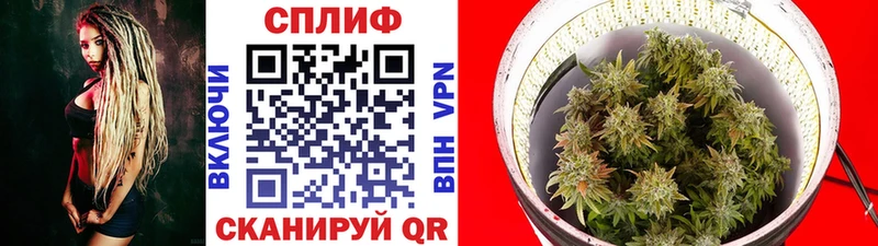 Каннабис план  Амурск 